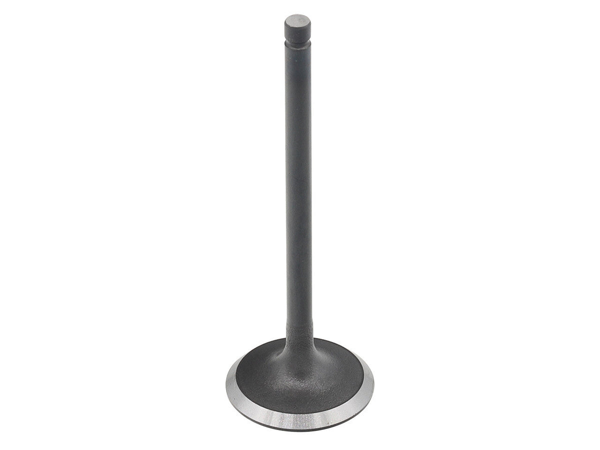 Namura Intake Valve
