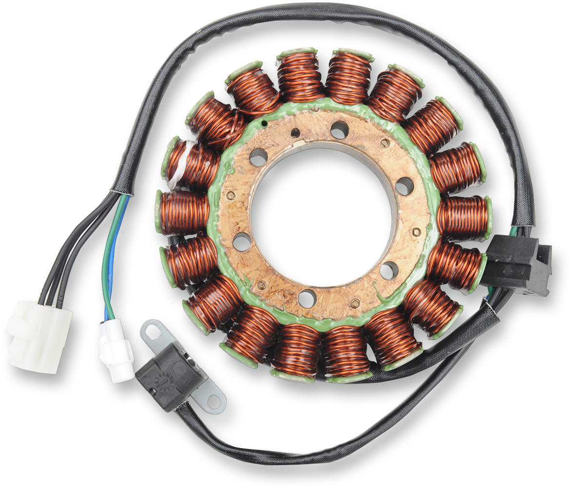 Rick's Motorsport Electric Stator