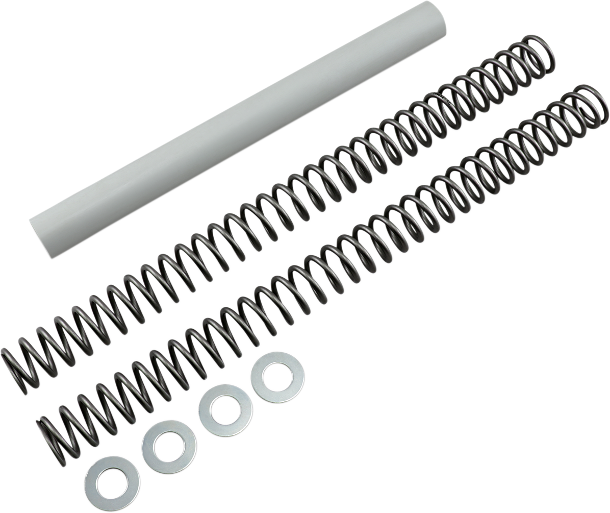 Race Tech Fork Springs
