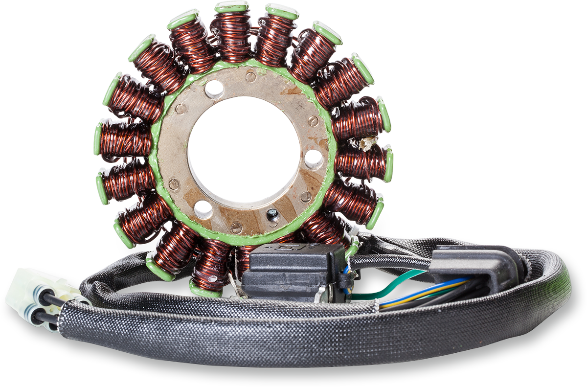 Rick's Motorsport Electric Stator
