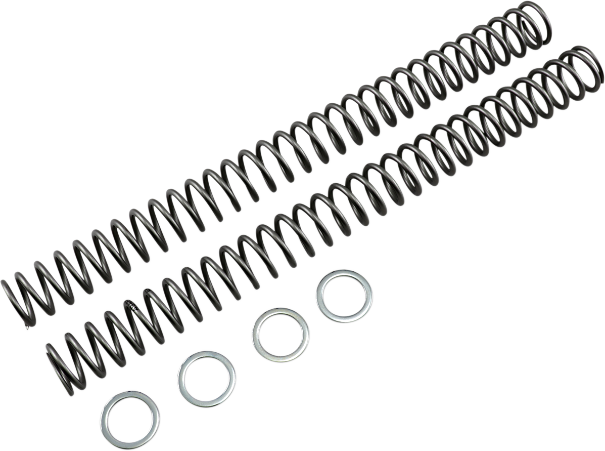 Race Tech Fork Springs