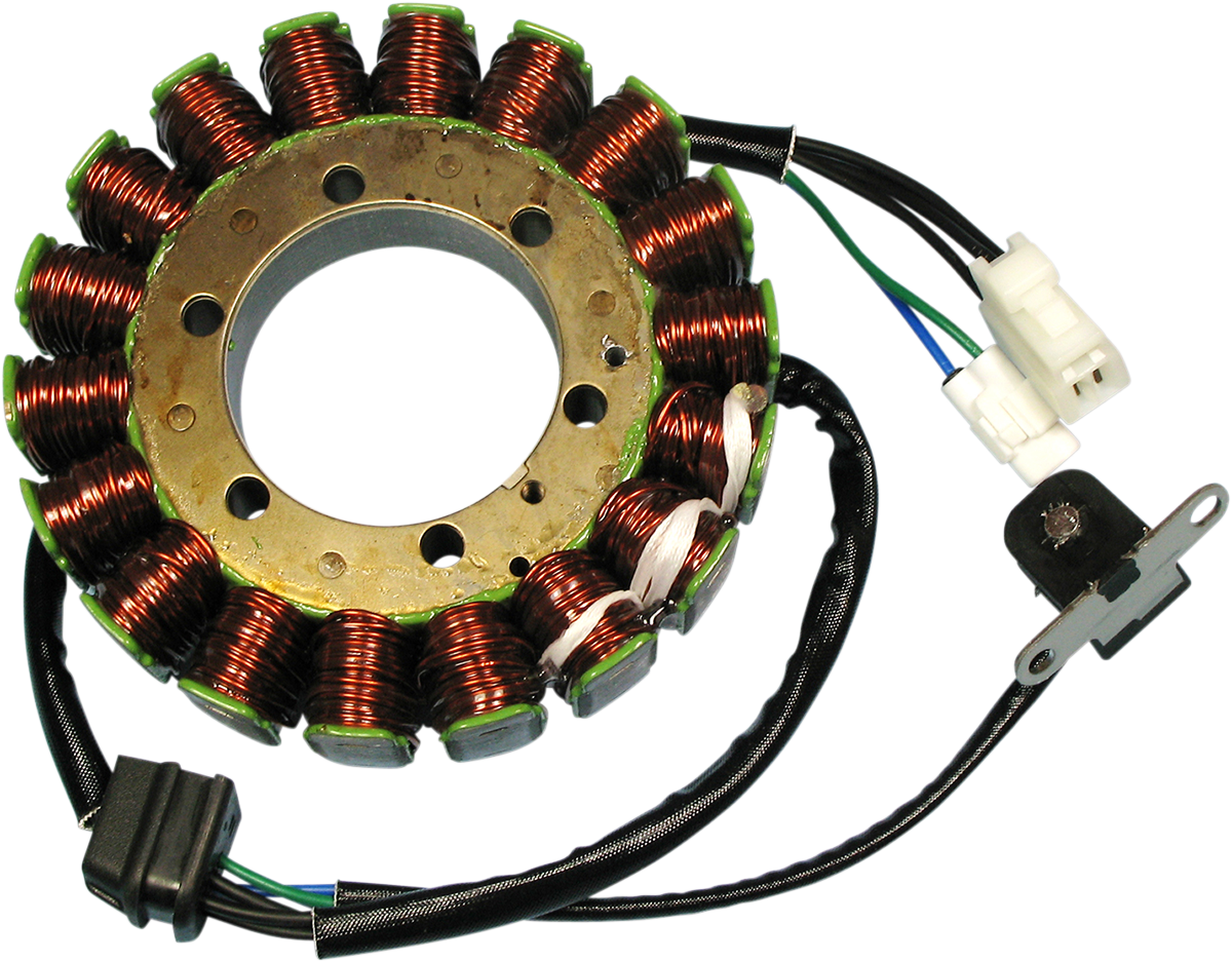 Rick's Motorsport Electric Stator