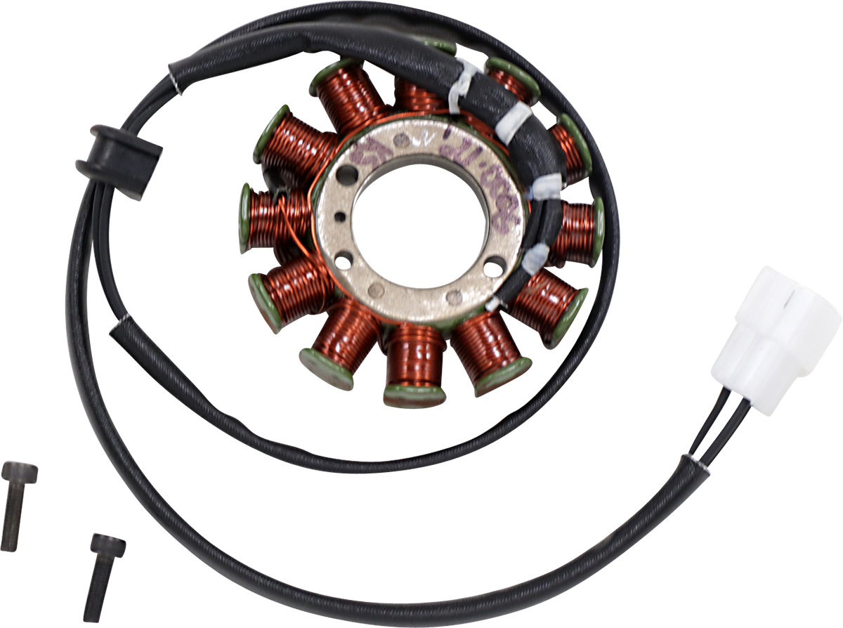 Rick's Motorsport Electric Stator