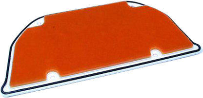 HIFLOFILTRO Air Filter