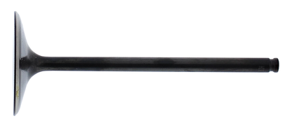 HOT CAMS Intake Valve