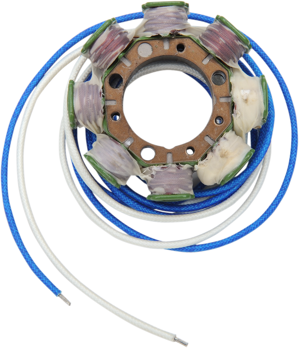 Rick's Motorsport Electric Stator