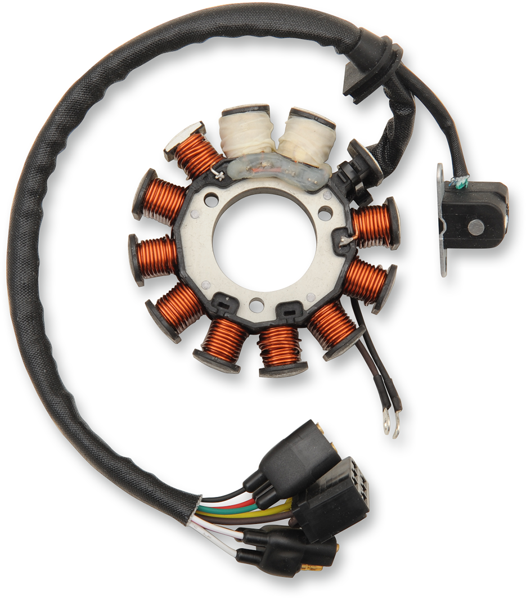 Rick's Motorsport Electric Stator
