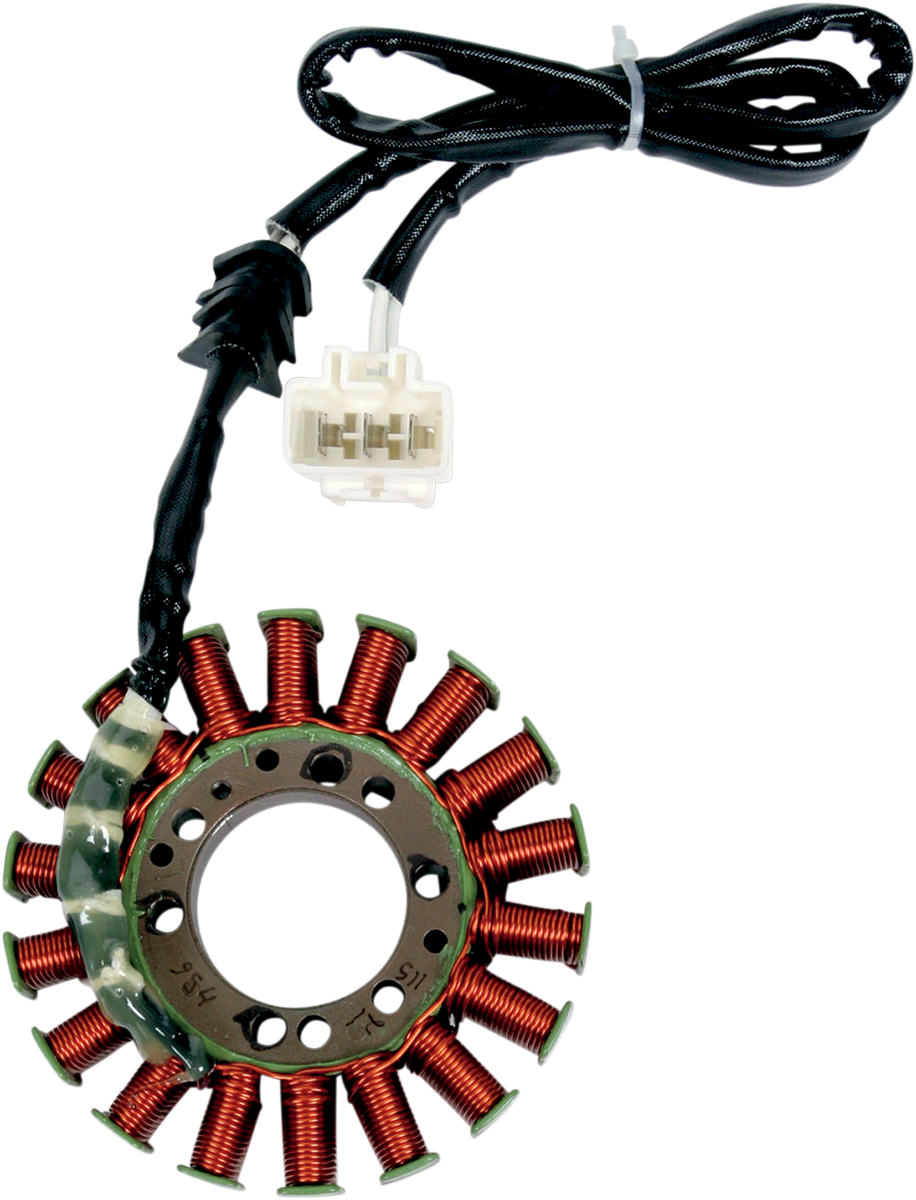 Rick's Motorsport Electric Stator