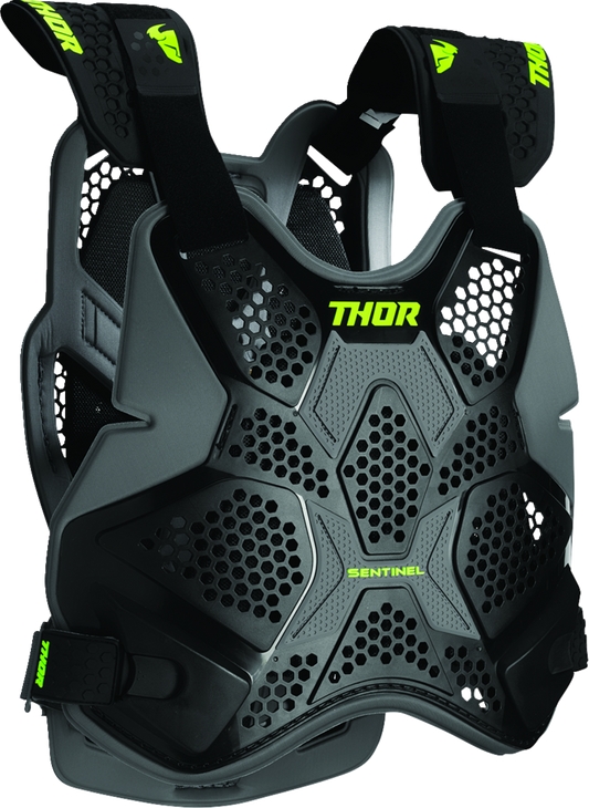 Thor Sentinel Pro Guard
