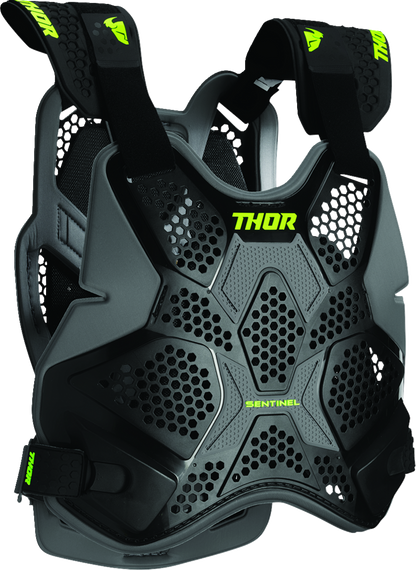 Thor Sentinel Pro Guard