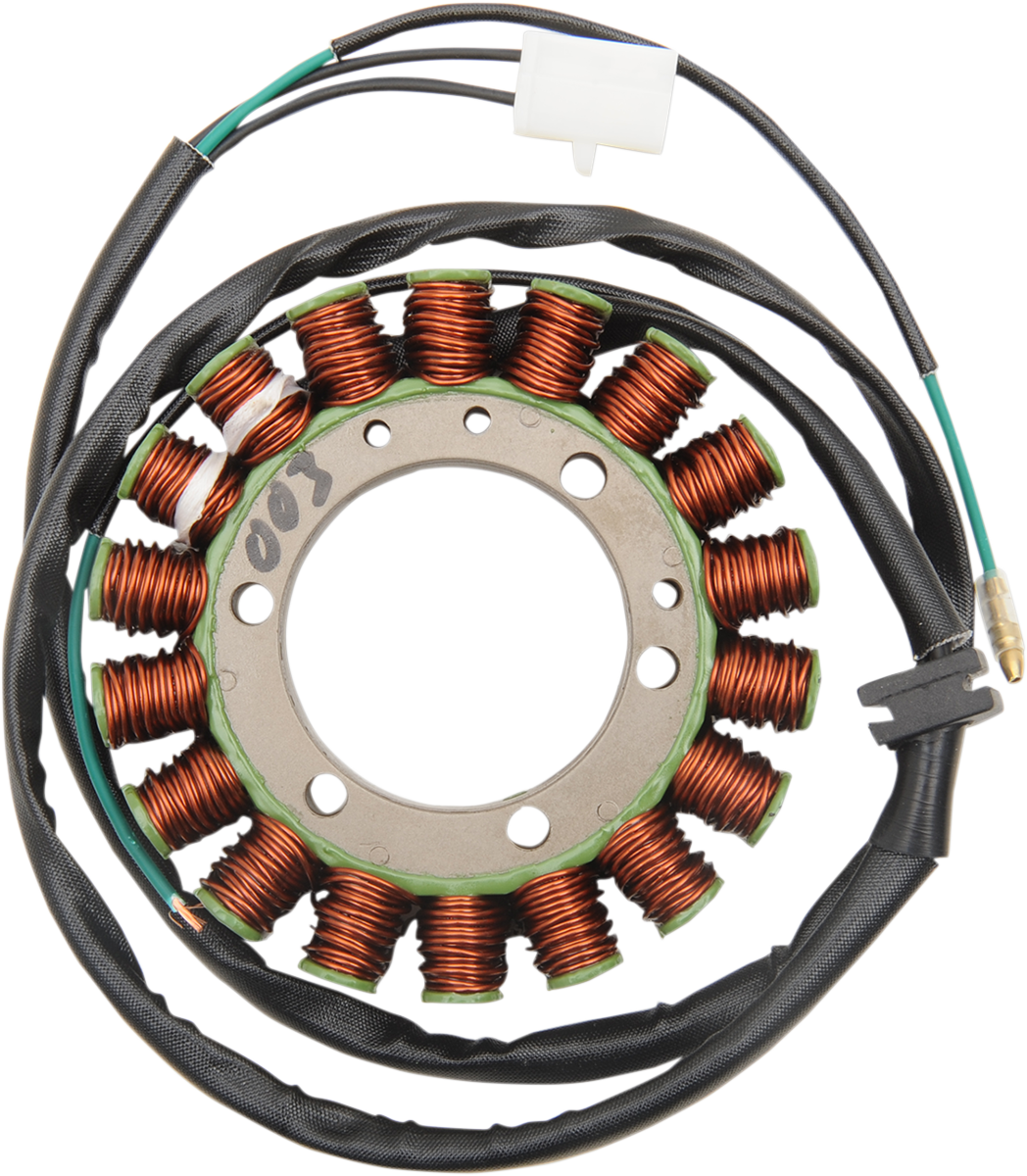 Rick's Motorsport Electric Stator