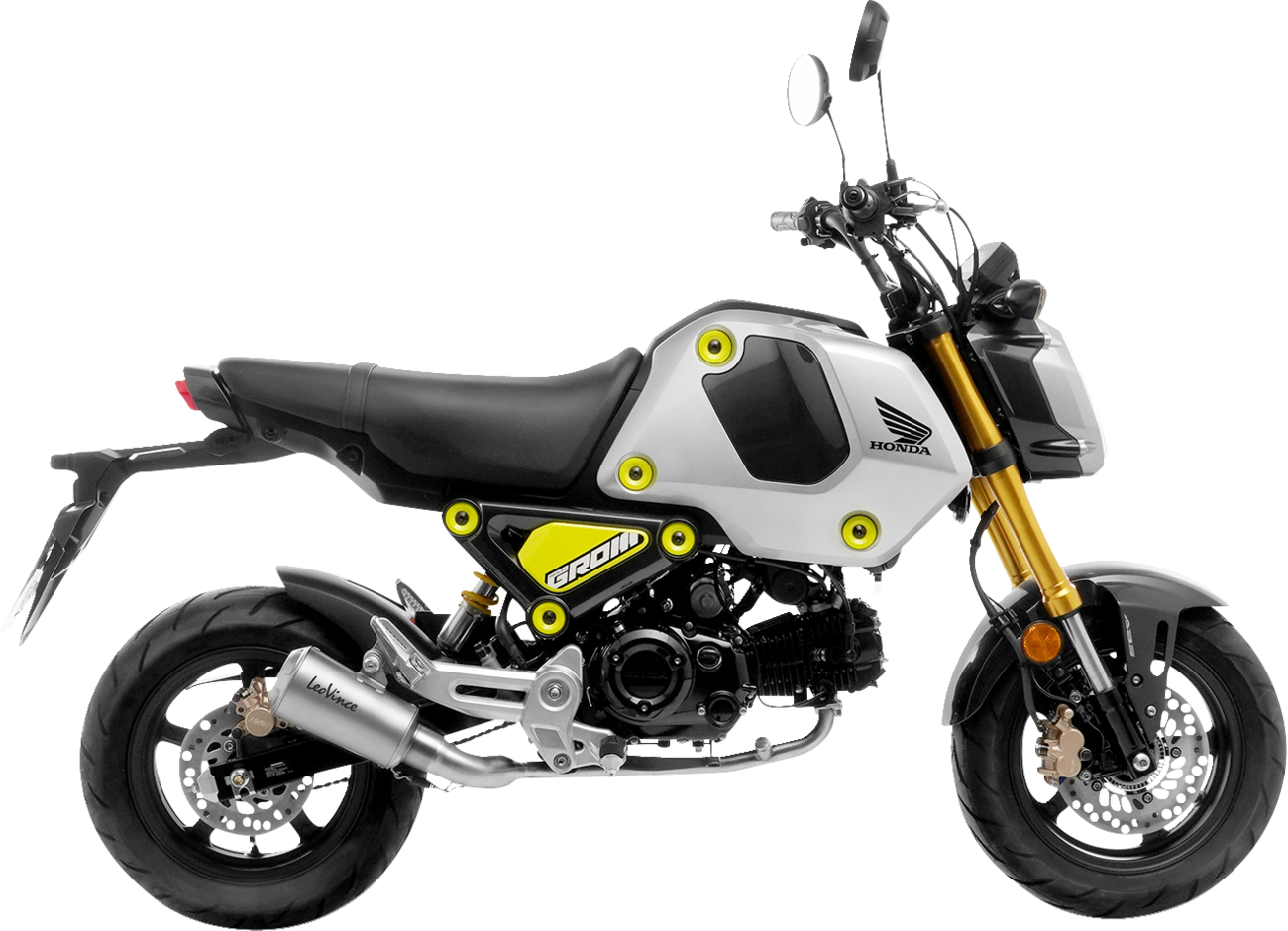 Leovince LV-10 Exhaust