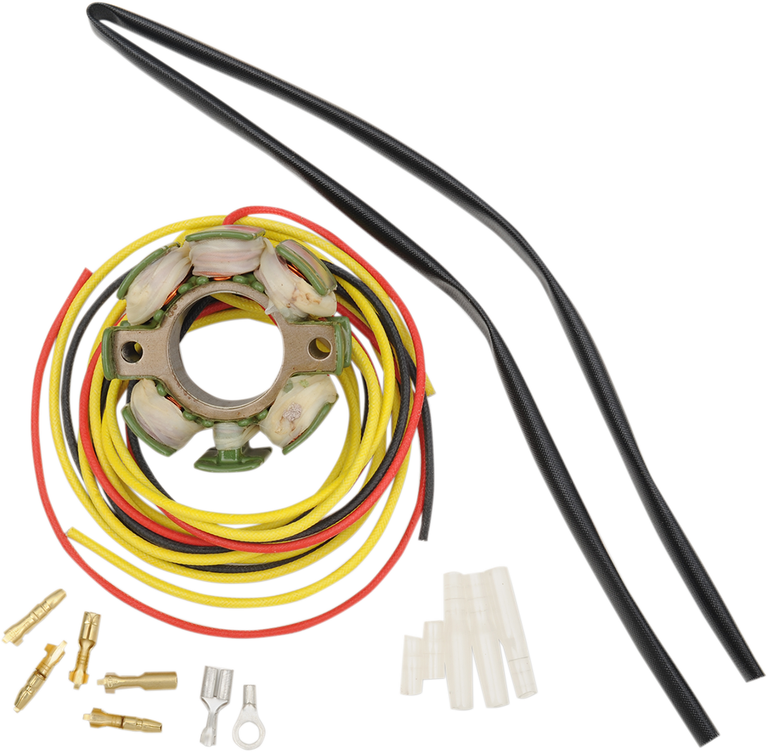 Rick's Motorsport Electric Stator