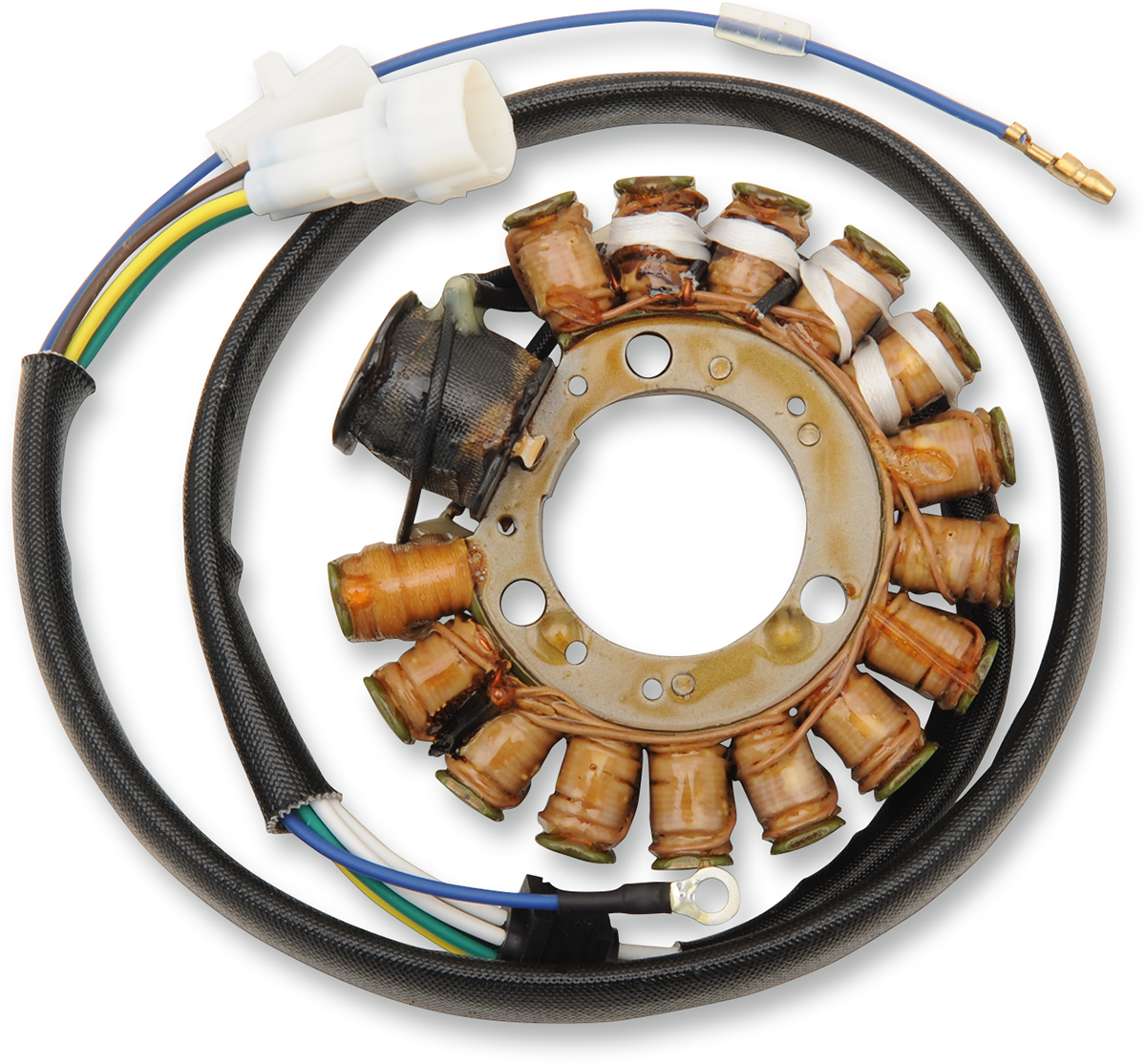 Rick's Motorsport Electric Stator