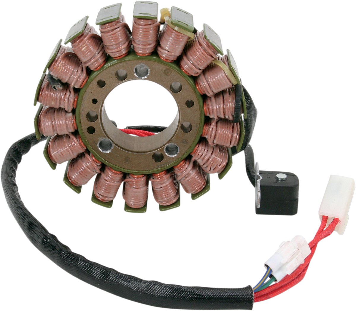 Rick's Motorsport Electric Stator