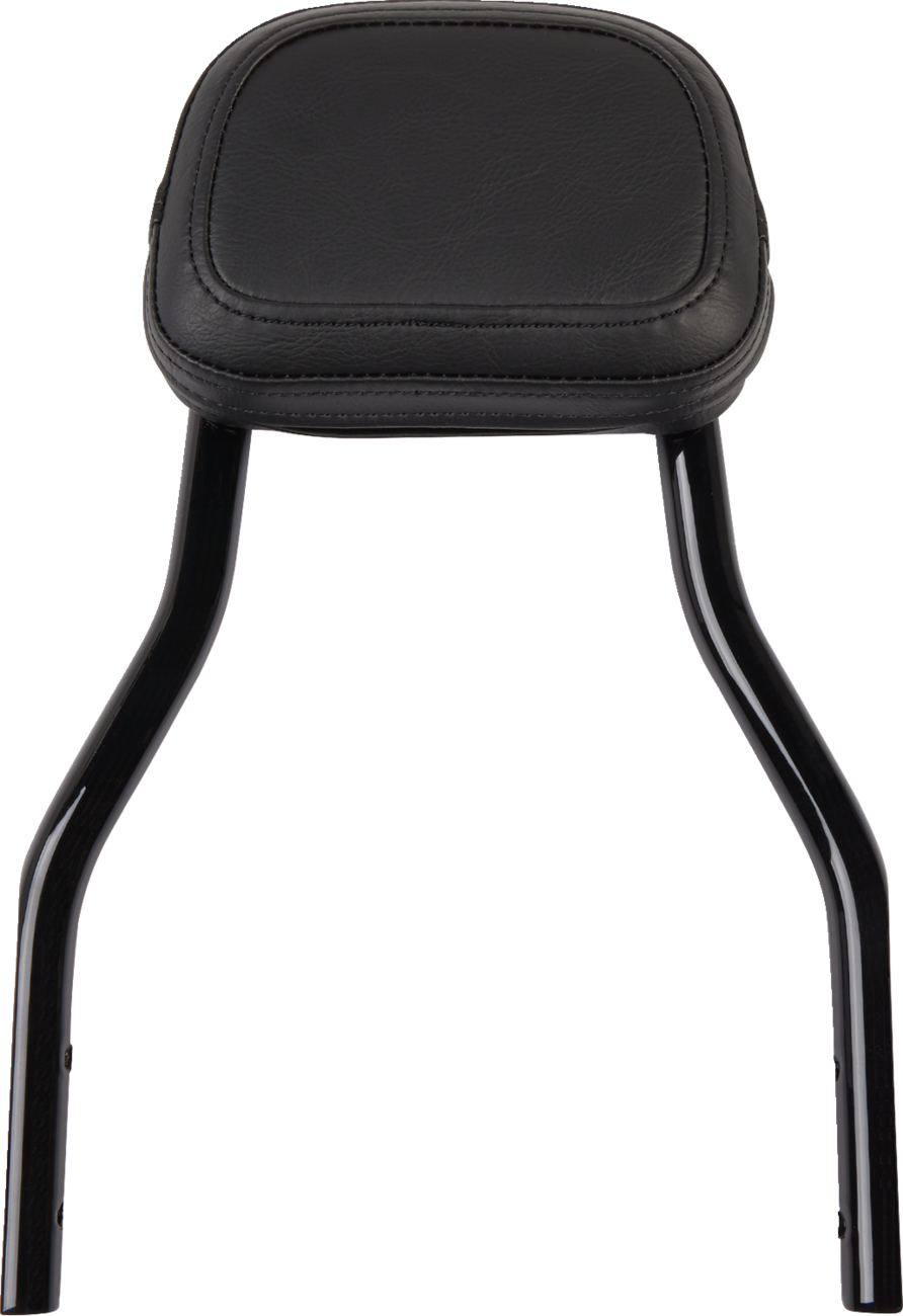Cobra Backrest Kit