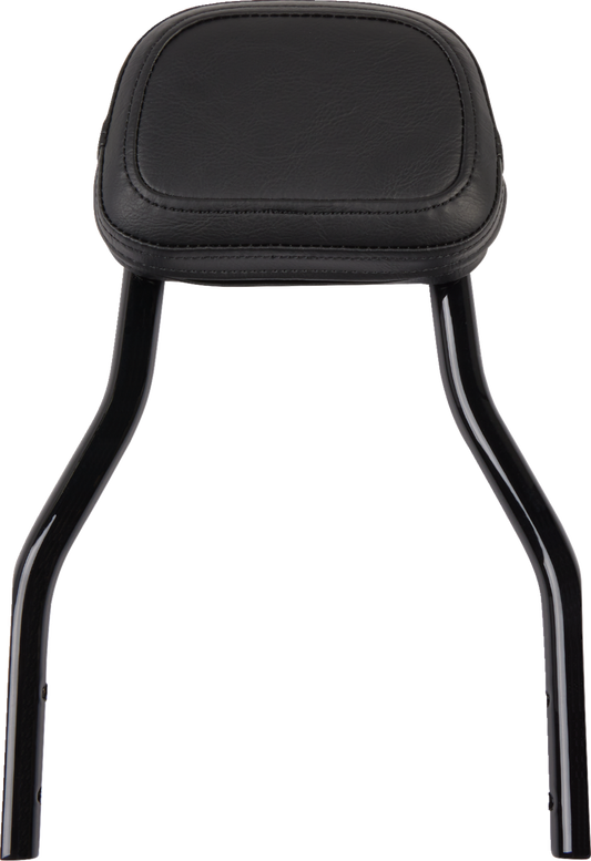 Cobra Backrest Kit