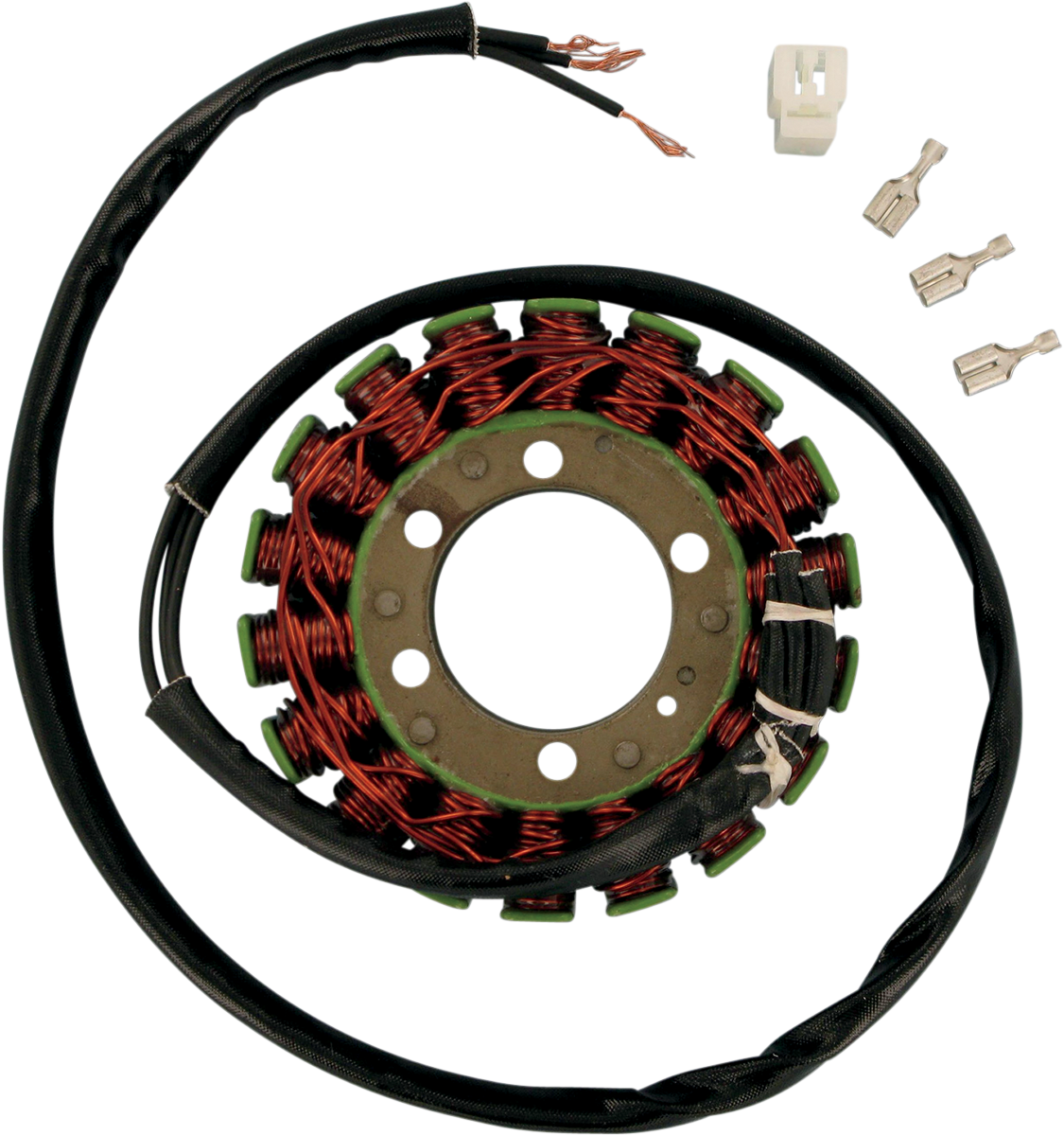 Rick's Motorsport Electric Stator