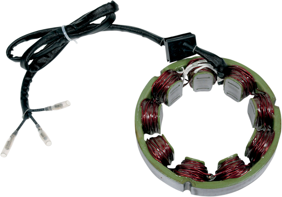 Rick's Motorsport Electric Stator