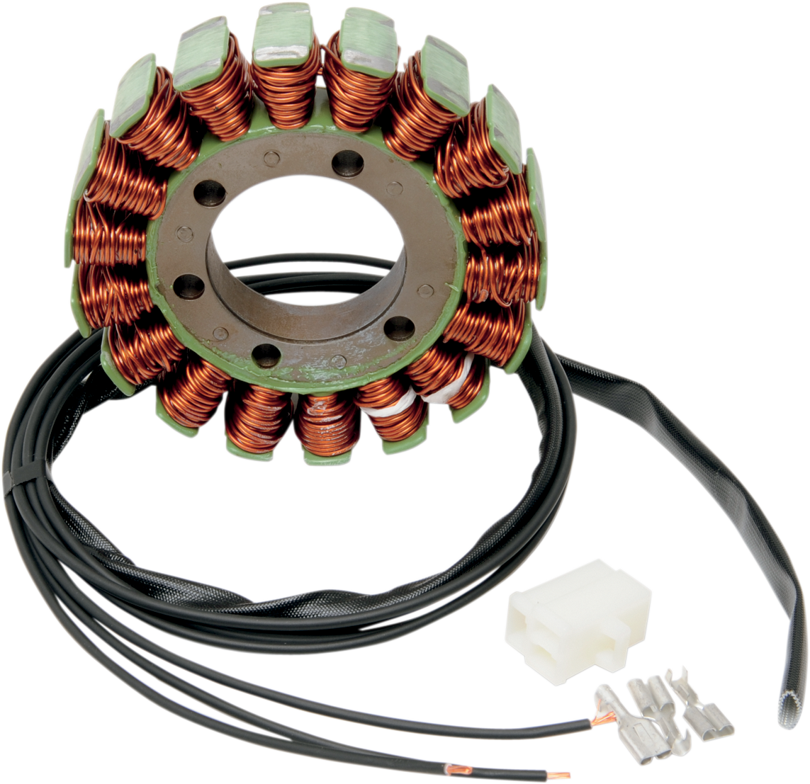 Rick's Motorsport Electric Stator