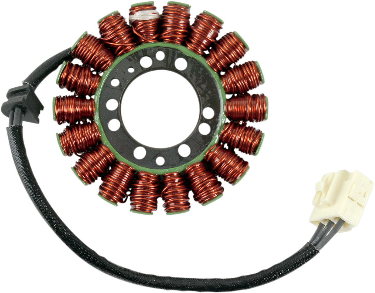 Rick's Motorsport Electric Stator