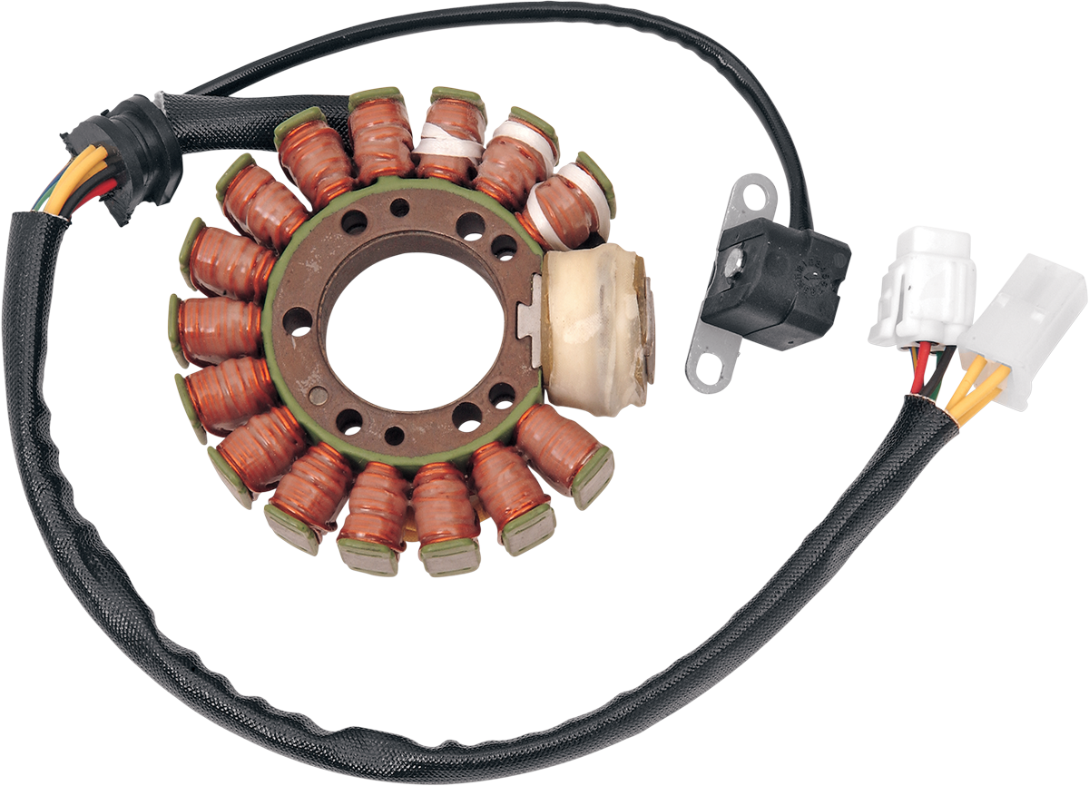 Rick's Motorsport Electric Stator