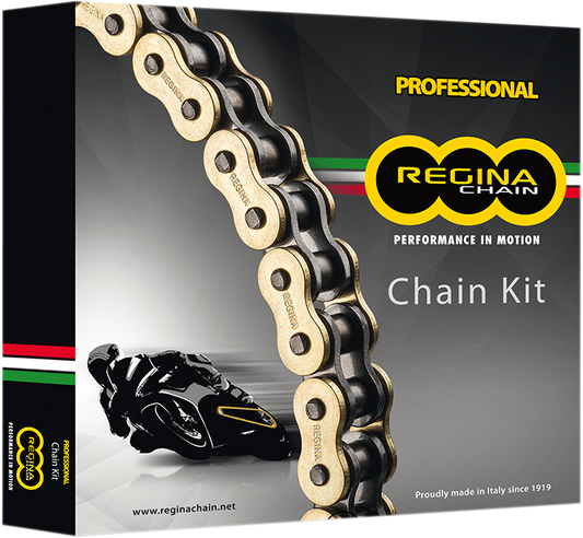 Regina Chain and Sprocket Kit