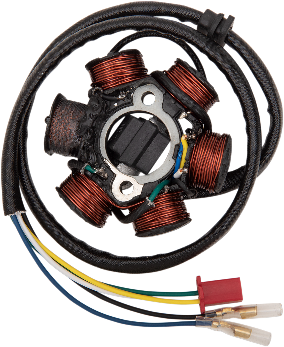 Rick's Motorsport Electric Stator