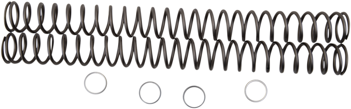 Race Tech Fork Springs