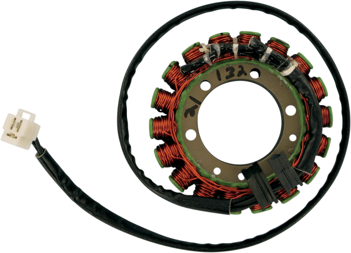 Rick's Motorsport Electric Stator