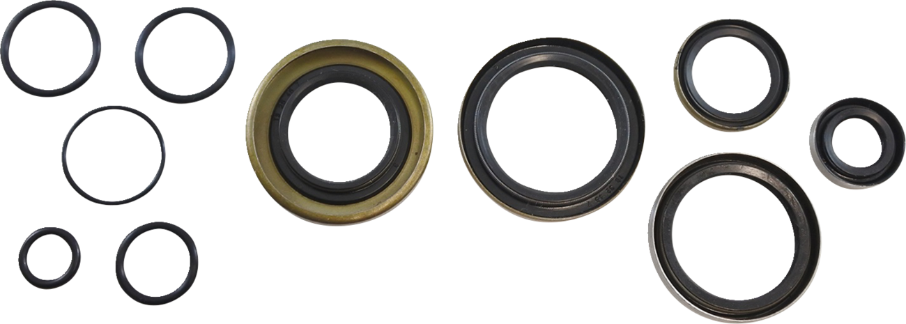 Vintco Oil Seal Kit