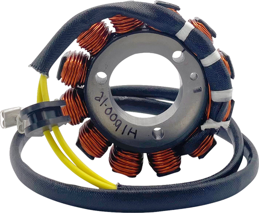 Rick's Motorsport Electric Stator - Hot Shot