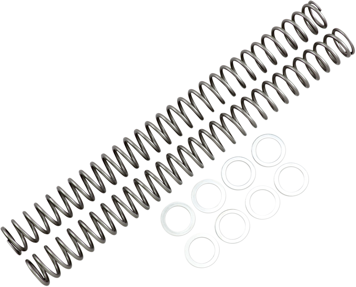 Race Tech Fork Springs