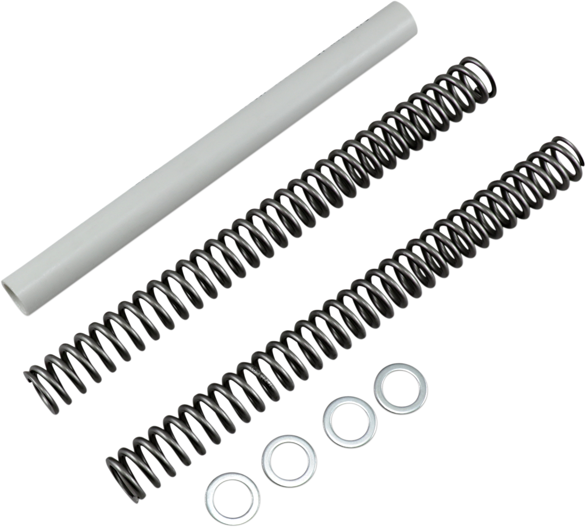 Race Tech Fork Springs