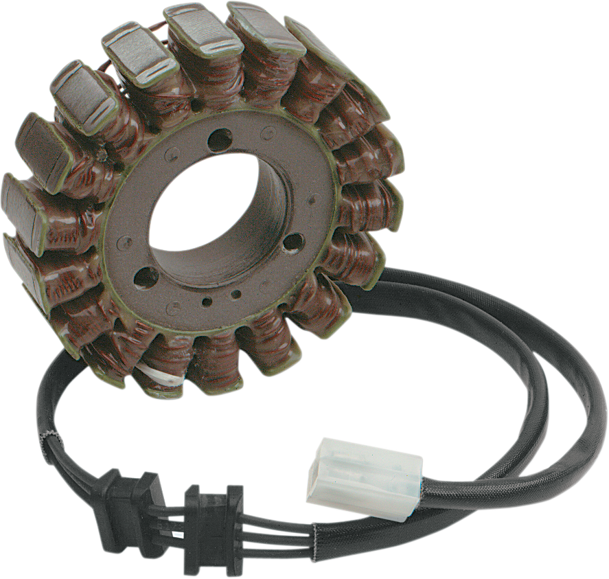 Rick's Motorsport Electric Stator