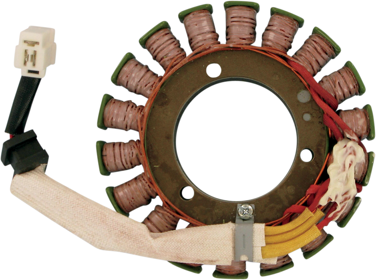 Rick's Motorsport Electric Stator