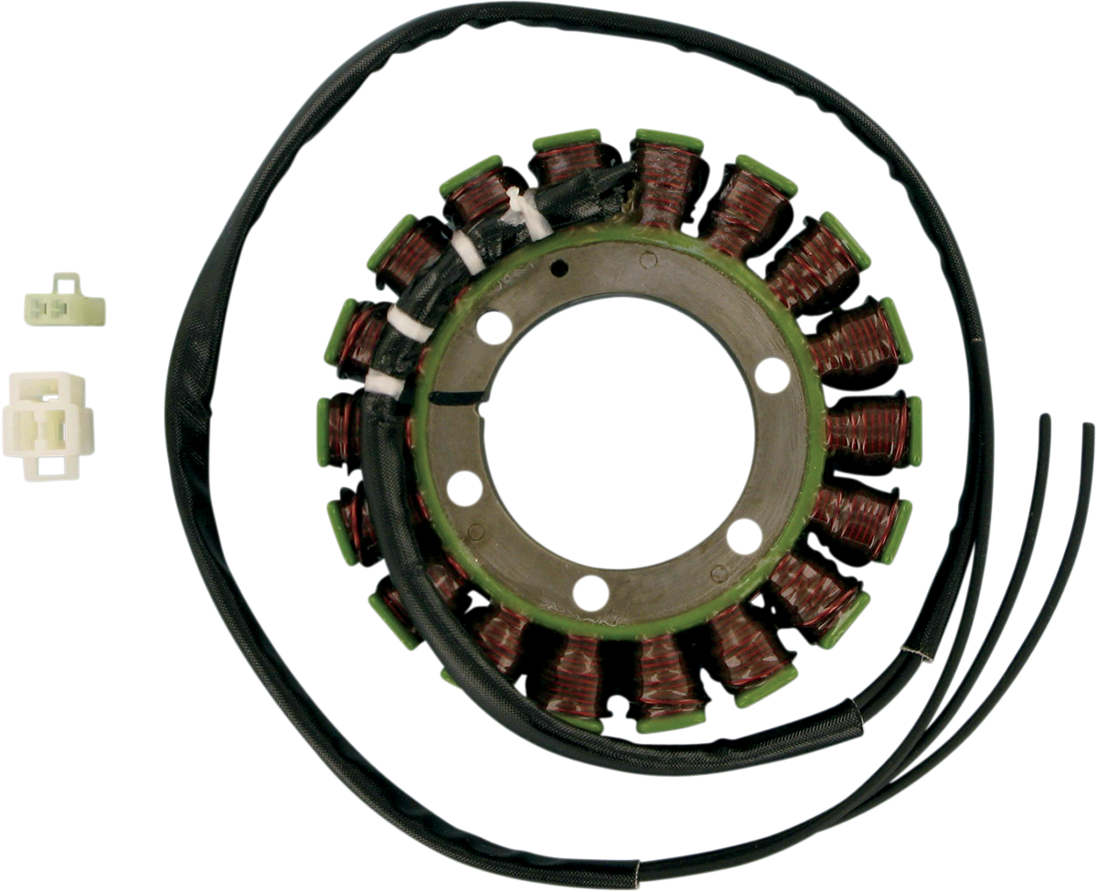 Rick's Motorsport Electric Stator