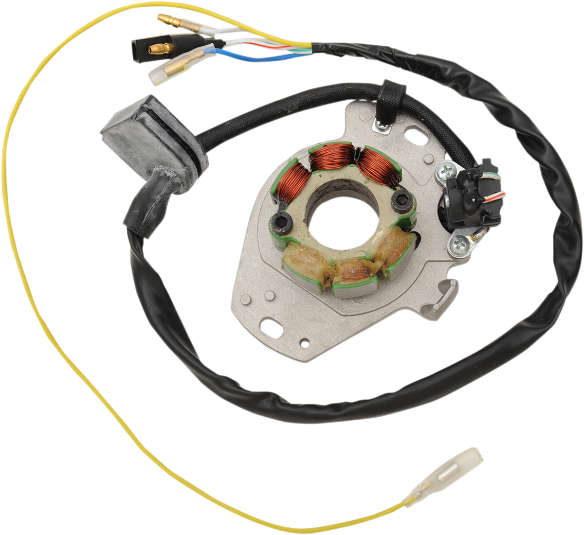 Rick's Motorsport Electric Stator