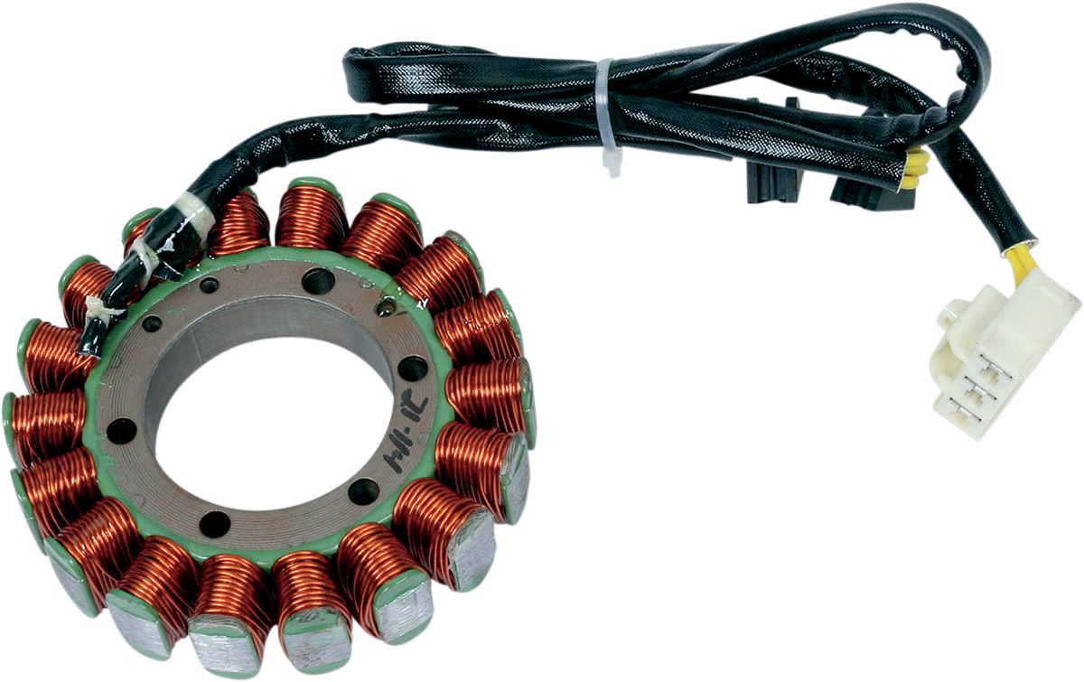 Rick's Motorsport Electric Stator