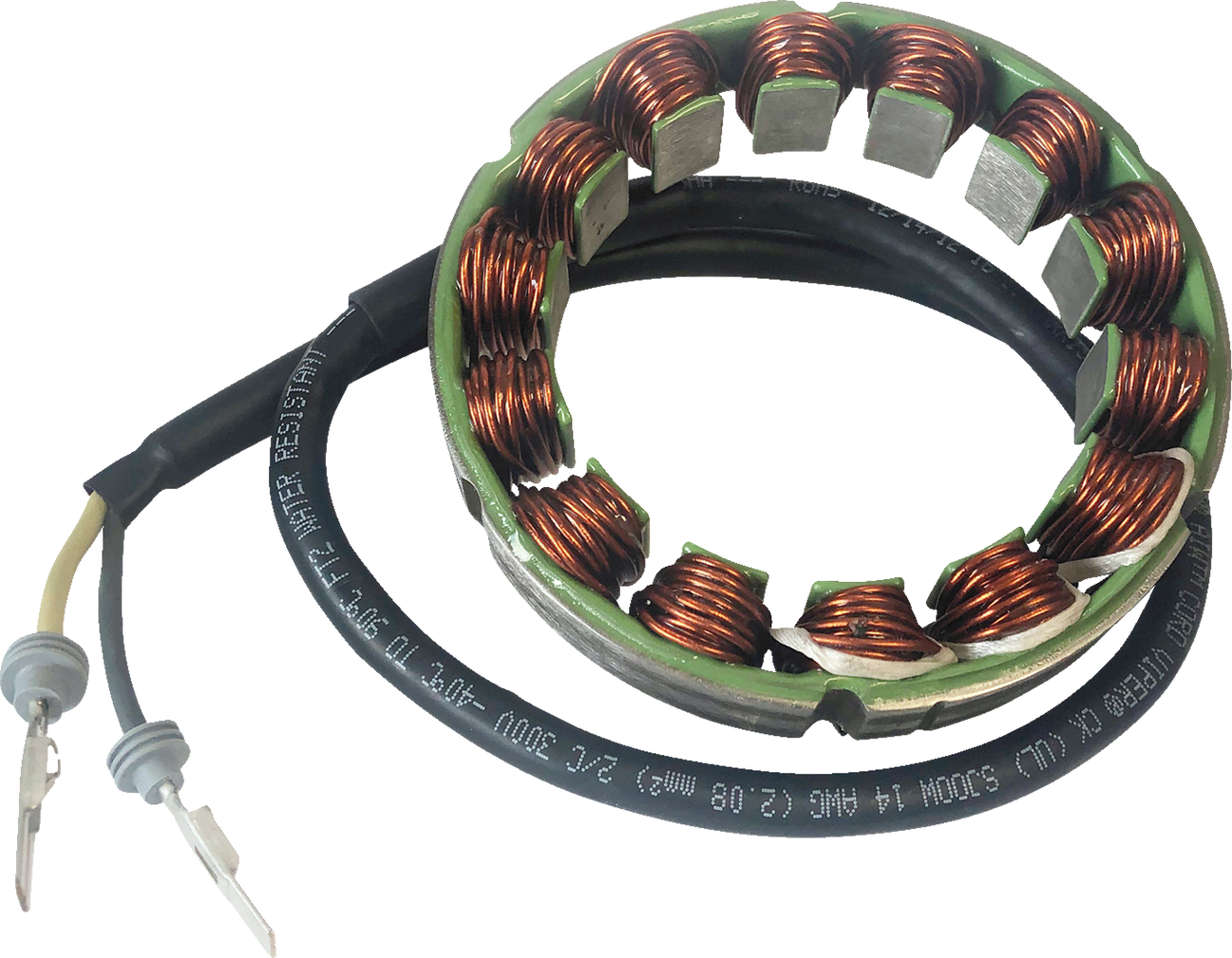 Rick's Motorsport Electric Stator