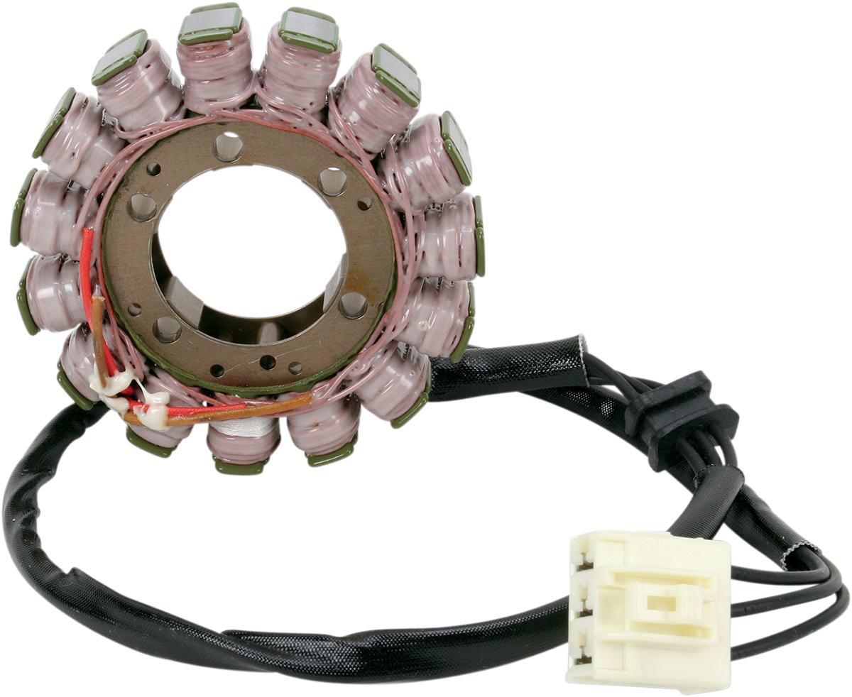 Rick's Motorsport Electric Stator