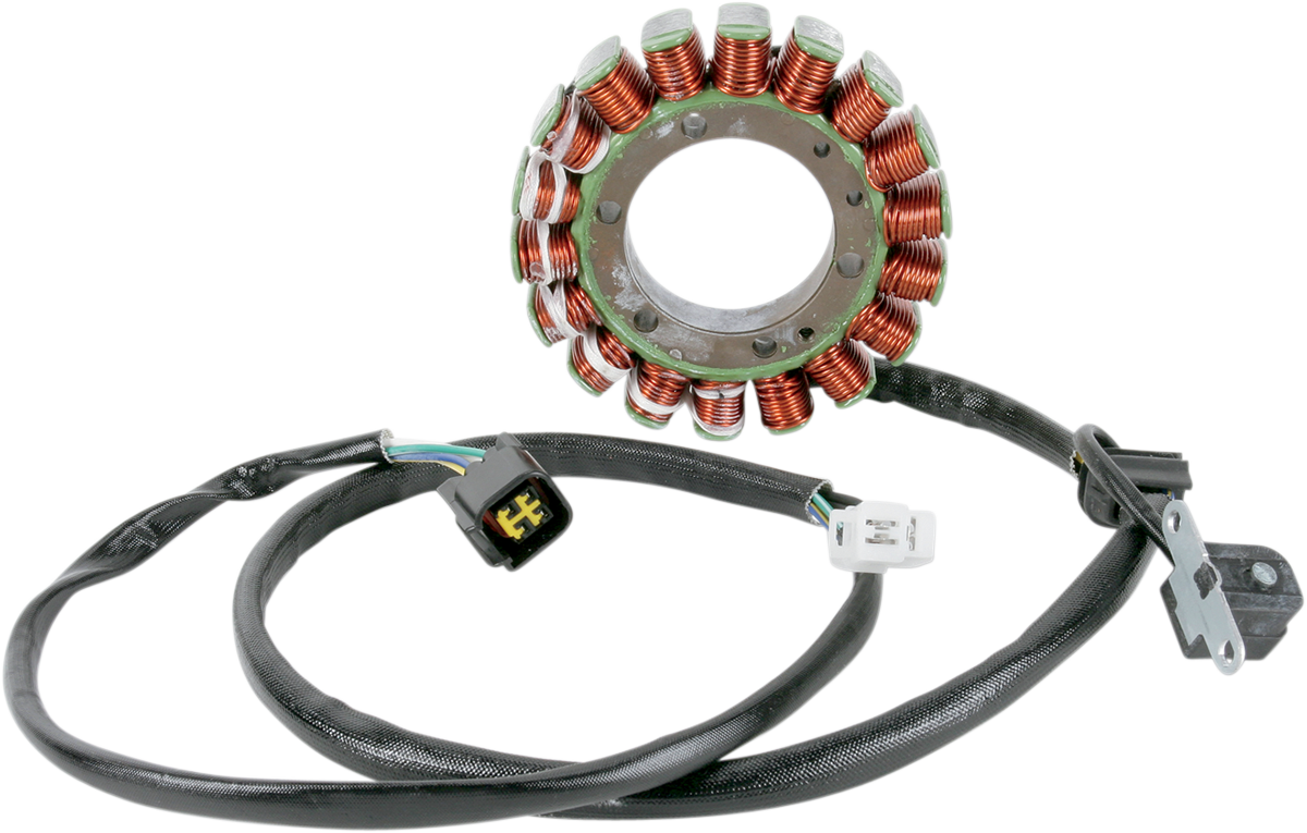 Rick's Motorsport Electric Stator