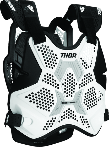 Thor Sentinel Pro Guard