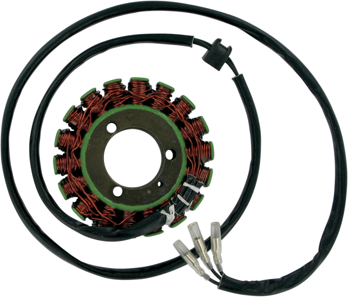 Rick's Motorsport Electric Stator