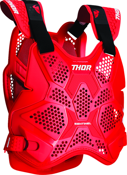 Thor Sentinel Pro Guard