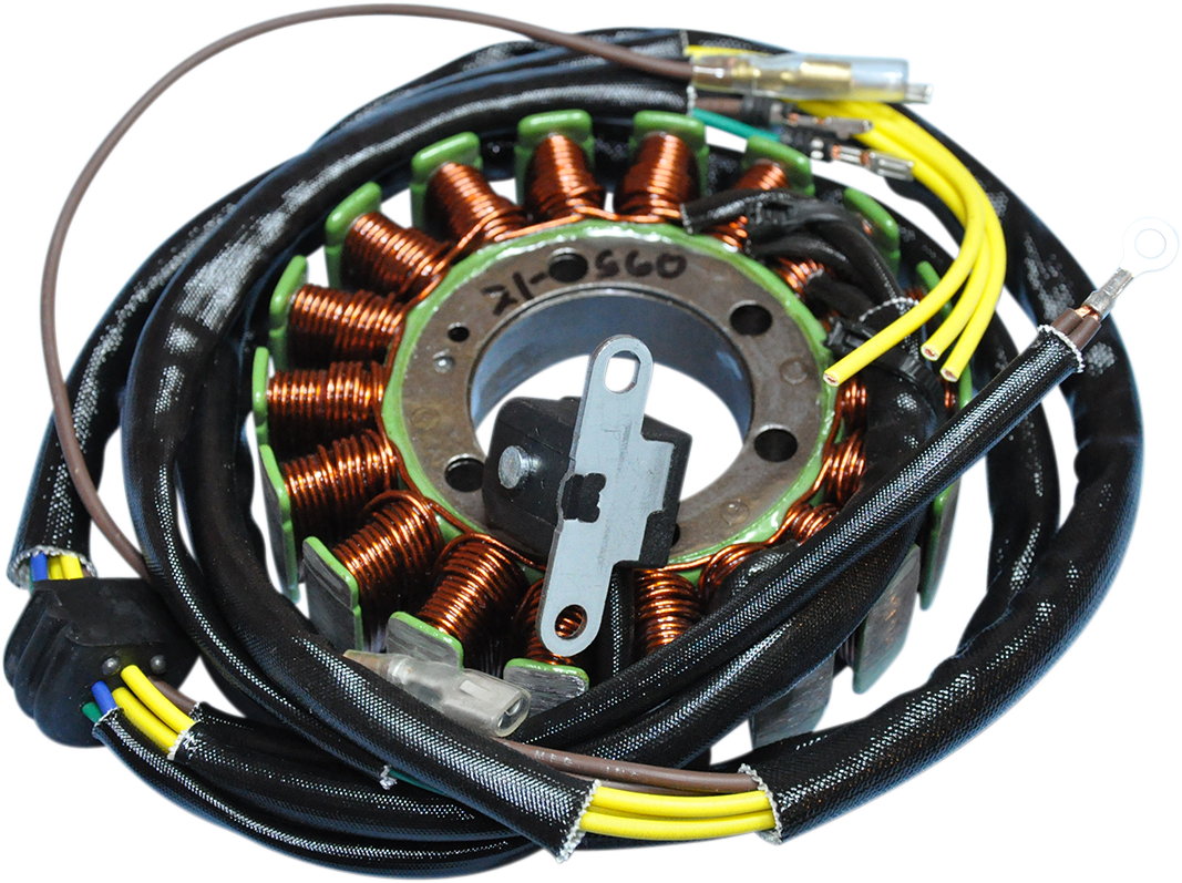 Rick's Motorsport Electric Stator