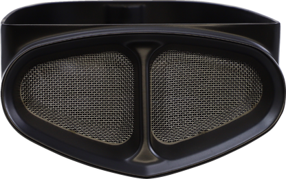 Cobra Air Cleaner Kit