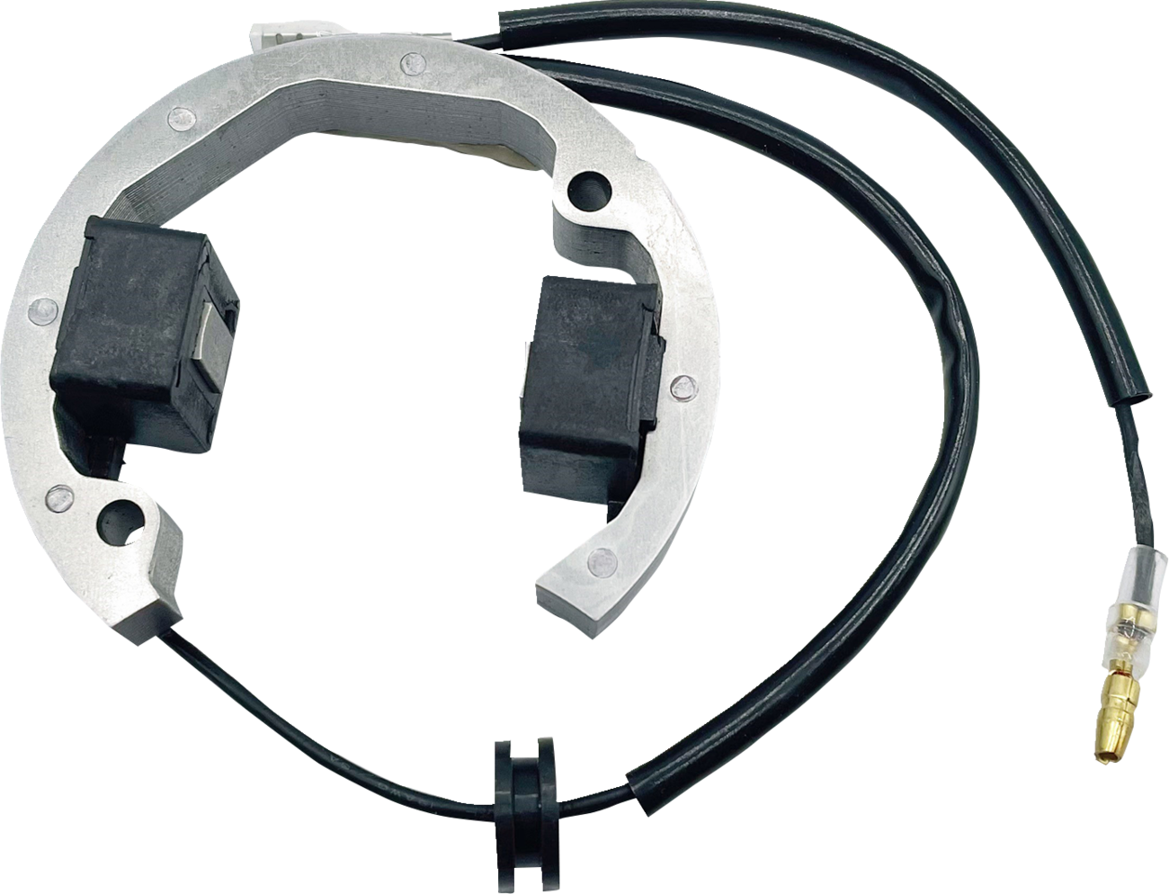 Rick's Motorsport Electric Stator
