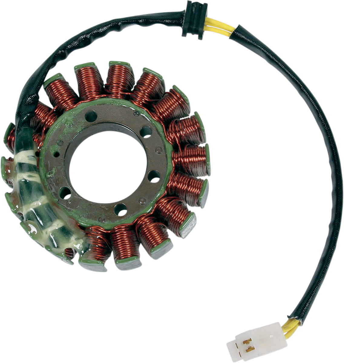 Rick's Motorsport Electric Stator