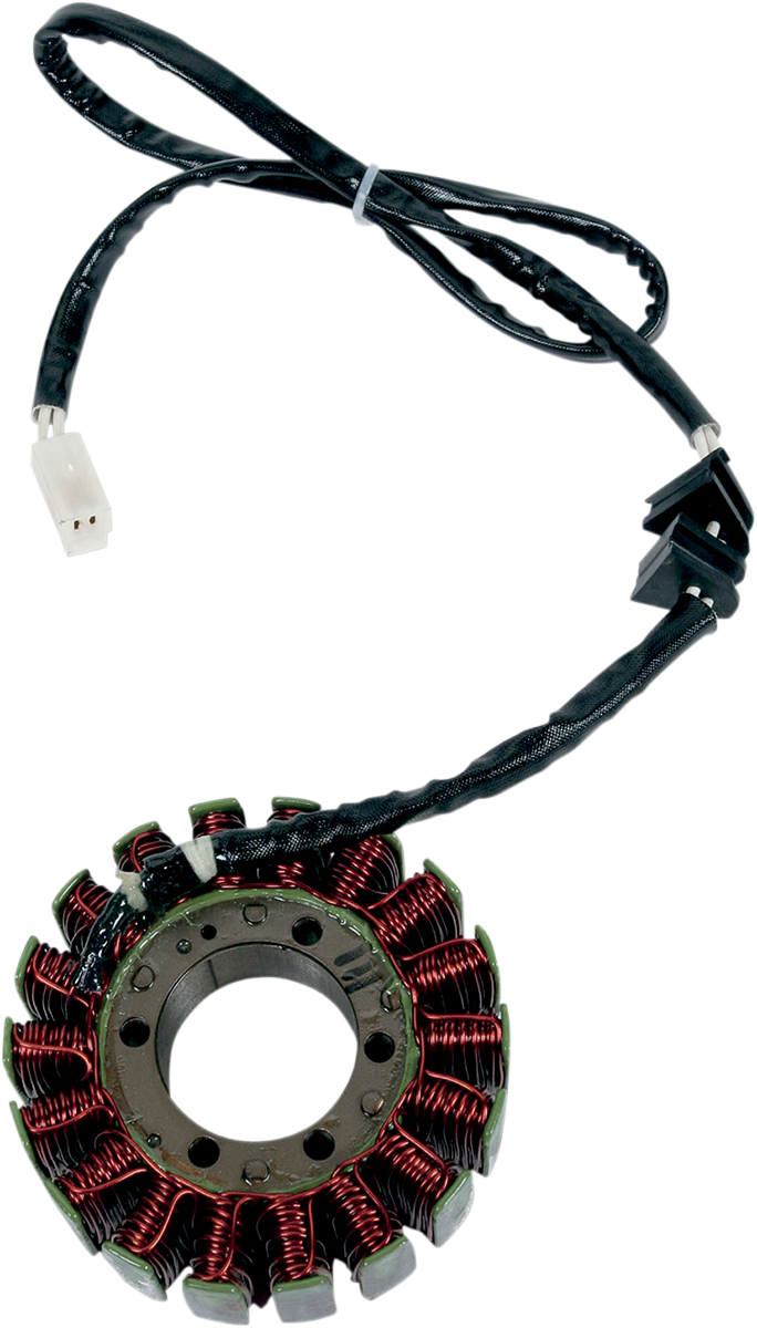 Rick's Motorsport Electric Stator